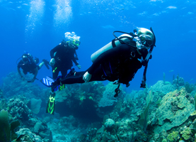 Aventure