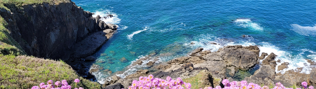 Activités en Bretagne