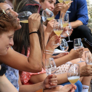 Visita a la Bodega y Viñedos El Jardí dels Sentits, Cata y Masterclass de Vinos para dos (Sant Sebastià dels Gorgs, Barcelona)