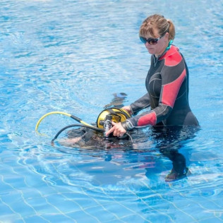 Curso de Buceo con Certificación PADI Open Water Diver (Madrid y Murcia)