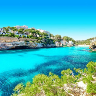 Dolphin Watch: Avistamiento de Delfines con Baño (Mallorca)