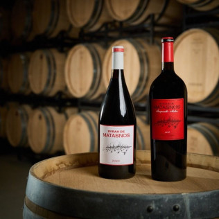 Visita a Bodega y Cata de Vinos con Exclusivas Conservas Gallegas en Bosque de Matasnos (Peñaranda de Duero, Burgos)