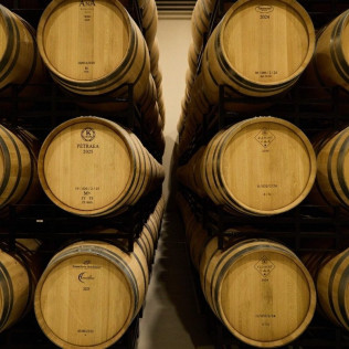 Visita a Bodega y Cata de Vinos con Exclusivas Conservas Gallegas para dos en Bosque de Matasnos (Peñaranda de Duero, Burgos)