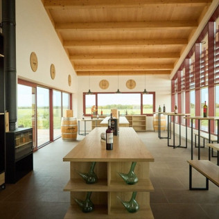 Visita a Bodega y Cata de Vinos con Exclusivas Conservas Gallegas para dos en Bosque de Matasnos (Peñaranda de Duero, Burgos)