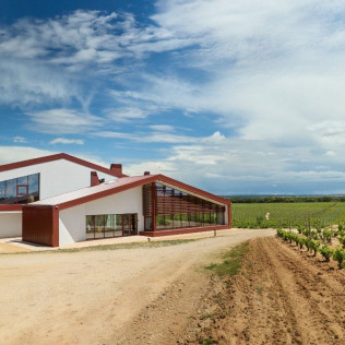 Visita a Bodega y Cata de Vinos con Exclusivas Conservas Gallegas para dos en Bosque de Matasnos (Peñaranda de Duero, Burgos)