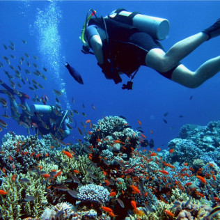 Curso de Buceo Open Water Diver (Tenerife)