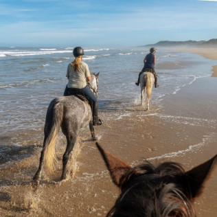 Ruta a Caballo por la Playa (Cádiz)