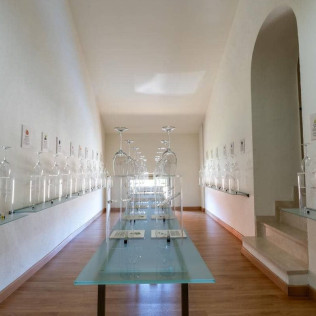 Spa y Comida en Balneario de Archena y Visita a Bodegas Silvano García con Cata y Aperitivo para dos en Jumilla (Murcia)