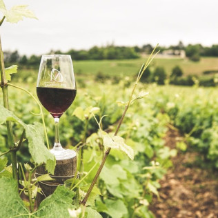 Visita a Bodegues Visendra con Cata de Vinos y Aperitivo para dos (Les Pobles, Tarragona)
