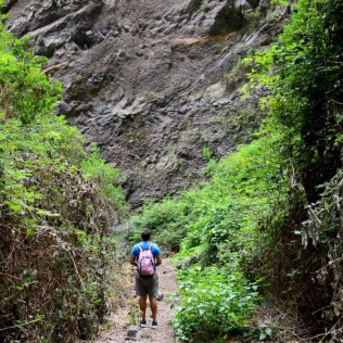 Ruta del Miedo en el Barranco de Badajoz (Tenerife)
