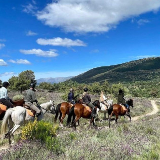 Ruta a Caballo para dos (Segovia)
