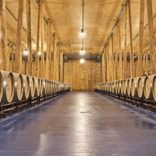 Visita a Bodega Bela con Cata de Vinos y Embutidos Ibéricos (Burgos)