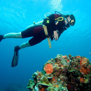Bautismo de Buceo Privado en el Mar y Reportaje Fotográfico (Tenerife)
