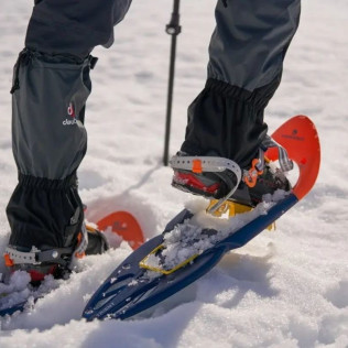 Excursión en Raquetas de Nieve (Navacerrada, Madrid)