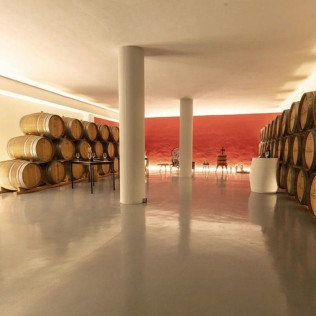 Visita a Bodegas Silvano García con Cata de Vinos y Aperitivo para dos (Jumilla, Murcia)