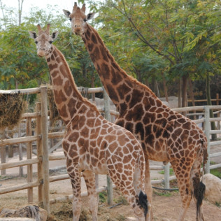 OFERTA: Entrada a Terra Natura (Murcia)