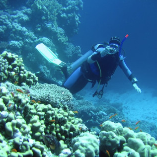 Curso de Buceo Open Water Diver (Tenerife)