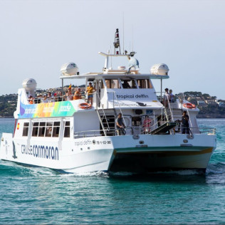 Paradise: Paseo en Catamarán con Baño por Puerto Andratx (Mallorca)