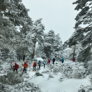 Excursión en Raquetas de Nieve (Navacerrada, Madrid)