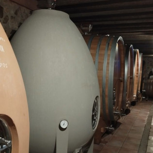 Visita al Celler Josep Foraster, Paseo por los Viñedos, Cata de 4 Vinos y Exposición para dos (Montblanc, Tarragona)