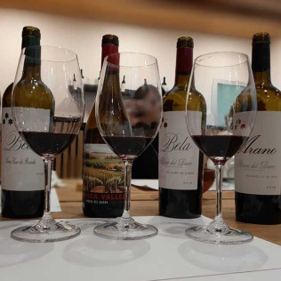 Visita a Bodega Bela con Cata de Vinos y Embutidos Ibéricos (Burgos)