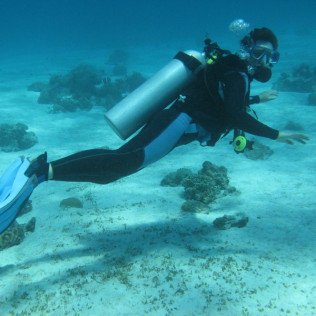 Curso de Buceo Open Water Diver (Tenerife)