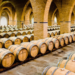Visita a las Bodegas Irache con Degustación de Vinos y Aperitivo para dos (Navarra) 