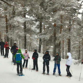 Excursión en Raquetas de Nieve (Navacerrada, Madrid)