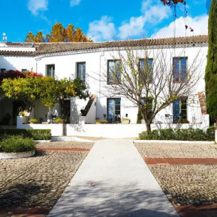 Paseo por Olivares y Experiencia Sensorial de AOVE con Cata de Vinos y Maridaje para dos en Molino del Arco (Ronda, Málaga)