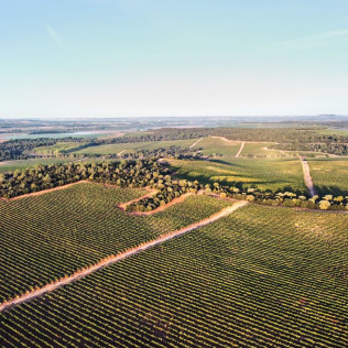 Visita a Bodega Bela con Cata de Vinos y Embutidos Ibéricos (Burgos)