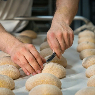 Taller de Pan Artesano (Madrid)