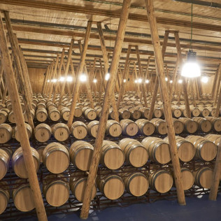Visita a Bodega Bela con Cata de Vinos y Embutidos Ibéricos (Burgos)