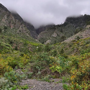 Ruta del Miedo en el Barranco de Badajoz (Tenerife)