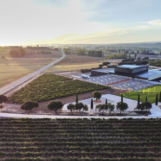 Visita a Bodega Bela con Cata de Vinos y Embutidos Ibéricos (Burgos)