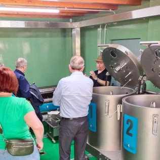 Visita Guiada, Cata de Aceites y Aperitivo Entre Olivos (Cervià de les Garrigues, Lleida)