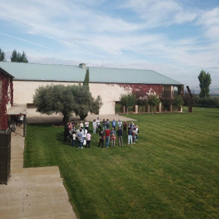 Visita Guiada y Cata en Aceites Artajo (Fontellas, Navarra)
