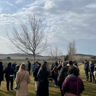 Visita Guiada y Cata en Aceites Artajo (Fontellas, Navarra)
