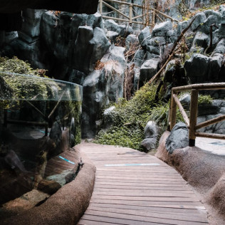 Entradas para el Acuario de Gijón (Asturias)