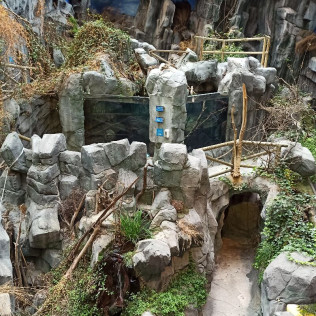 Entradas para el Acuario de Gijón (Asturias)