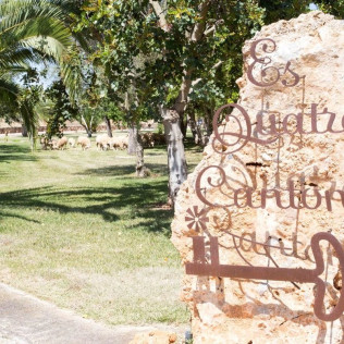 Day Pass con Hamaca en Agroturismo Es Quatre Cantons 4* (Binissalem, Mallorca)