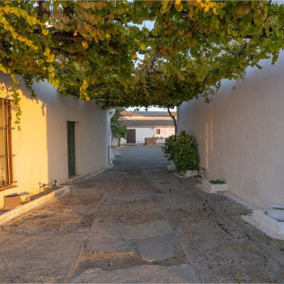 Cata de Burbujas Galanteria: Cata y Maridaje en Albariza de la Torre (Jerez de la Frontera, Cádiz)