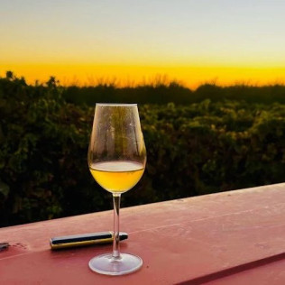 Cata de Burbujas Galanteria: Cata y Maridaje en Albariza de la Torre (Jerez de la Frontera, Cádiz)