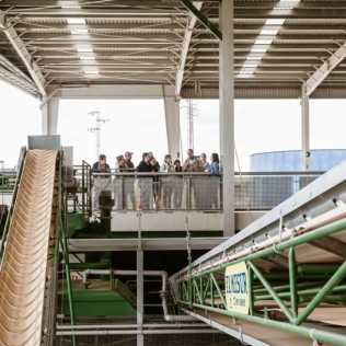 Oleopack Picualia: Visita Guiada por la Almazara y Cata de AOVE (Bailén, Jaén)