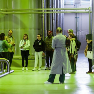 Picualia Oleoturismo: Visita Guiada por una Almazara del siglo XXI para dos (Bailén, Jaén)