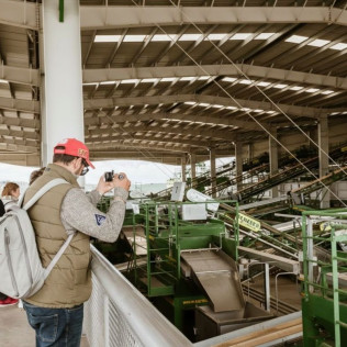 Picualia Oleoturismo: Visita Guiada por una Almazara del siglo XXI para dos (Bailén, Jaén)