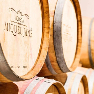 Escapada Enológica: Noche con Spa y Comida en Hotel Dolce by Wyndham 4* Sup y Visita a Bodega y Cata de Vino para dos (Barcelona)