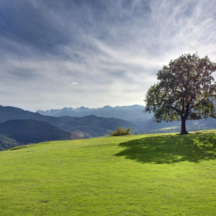 Escapada en Habitación con Bañera Hidromasaje y Visita a la Granja en Alojamiento Rural La Montaña Mágica (Asturias)