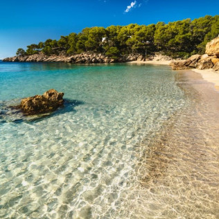 Alquiler de Paddle Surf (Ibiza)