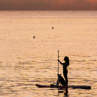 Alquiler de Paddle Surf (Barcelona)