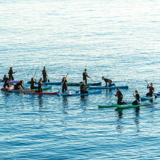 Alquiler de Paddle Surf (Barcelona)